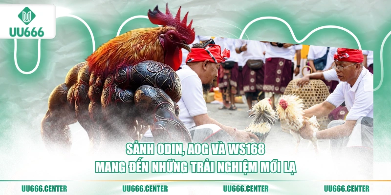 Đá Gà UU666 - Trực Tiếp Nhiều Sảnh Hấp Dẫn 2 sanh-odin-aog-va-ws168-mang-den-nhung-trai-nghiem-moi-la