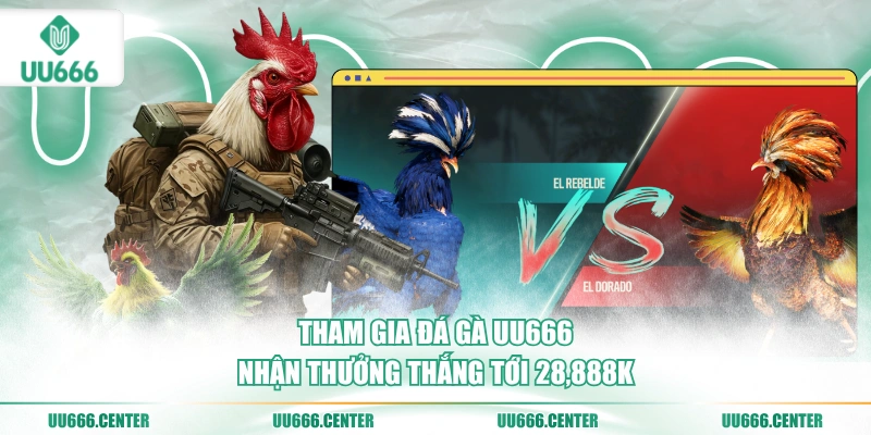 Đá Gà UU666 - Trực Tiếp Nhiều Sảnh Hấp Dẫn 4 tham-gia-da-ga-uu666-nhan-thuong-thang-toi-28888k